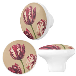 Pomo De Cerámica Elegante Vintage Tulip Art Floral Botánica
