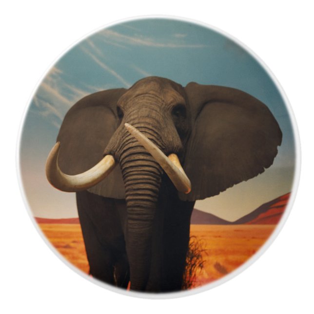 Pomo De Cerámica Estatura majestuosa (Anverso)