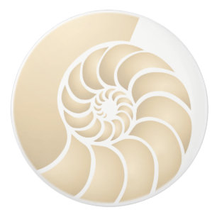 Pomo De Cerámica Estilo costero beige nautilus