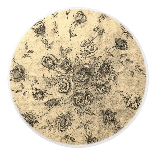 POMO DE CERÁMICA ESTILO DE DISEÑO DE ARTE DE PUERTA CERAMIC PULL (Anverso)