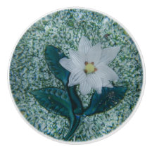 Estrella blanca Boho Flor Estrella verde