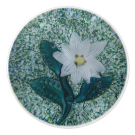 Pomo De Cerámica Estrella blanca Boho Flor Estrella verde