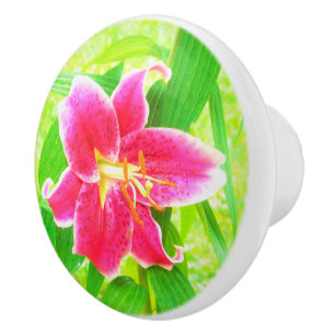 Pomo De Cerámica Estrella rosa profunda bonito Lily en verde anime