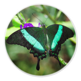 Pomo De Cerámica Exotic Emerald Swallowtail