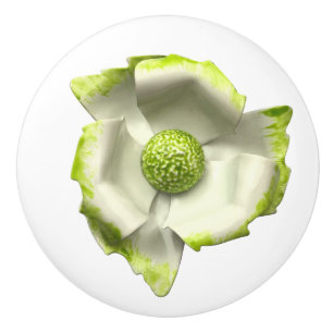 Pomo De Cerámica Exótica Flor Blanca Tropical Verde Floral Flor