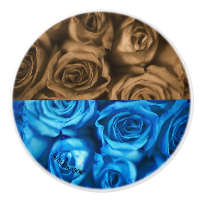 Pomo De Cerámica Extracción cerámica de rosas (Anverso)