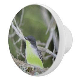 Pomo De Cerámica Extracción de cajón de pájaro pequeño