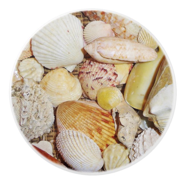 Pomo De Cerámica Extracción de cajones de conchas marinas (Anverso)