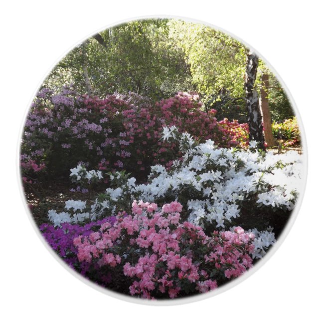 Pomo De Cerámica Extracción de cerámica de flores forestales (Anverso)