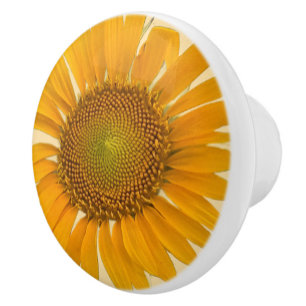 Pomo De Cerámica Extracción de cerámica de girasol