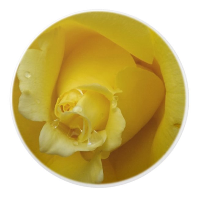 Pomo De Cerámica Extracción de cerámica rosa amarilla (Anverso)