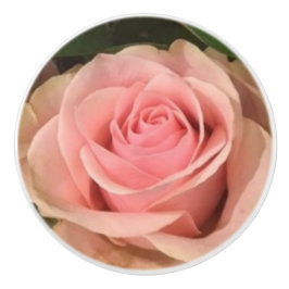 Pomo De Cerámica Extracción rosa de cerámica rosa