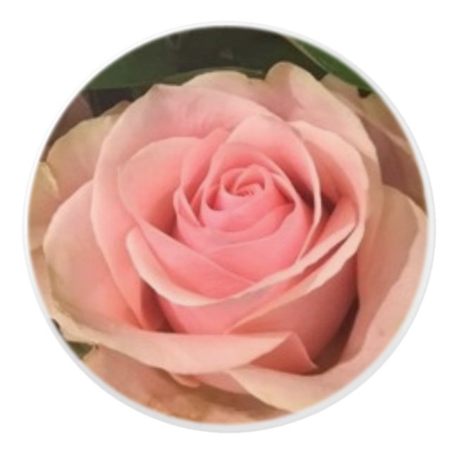 Pomo De Cerámica Extracción rosa de cerámica rosa (Anverso)