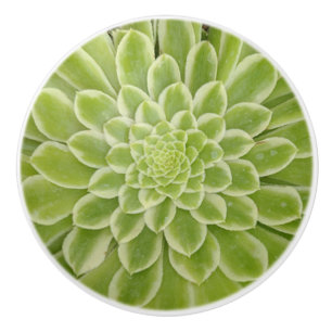 Pomo De Cerámica Extraída cerámica