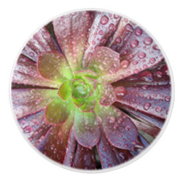 Pomo De Cerámica Extraída cerámica