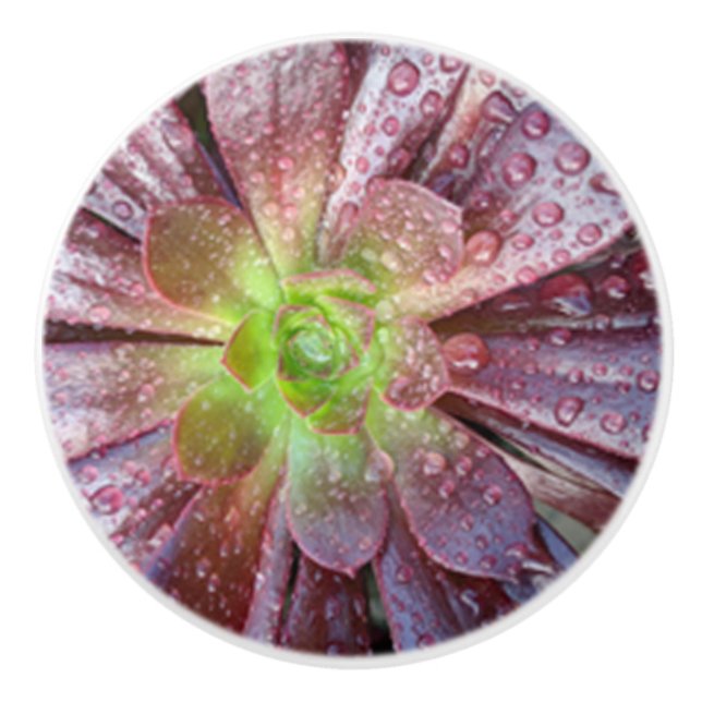 Pomo De Cerámica Extraída cerámica (Anverso)