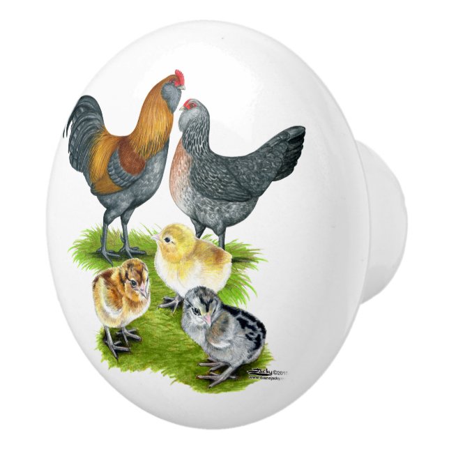 Pomo De Cerámica Familia Ameraucana de Pollos (Derecha)