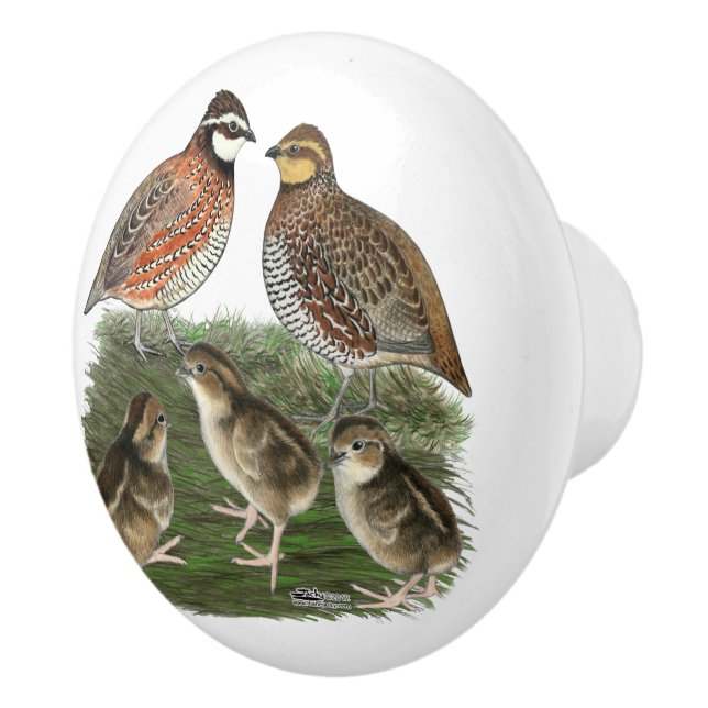 Pomo De Cerámica Familia de codornices Bobwhite (Derecha)