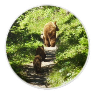 Pomo De Cerámica Familia de oso marrón