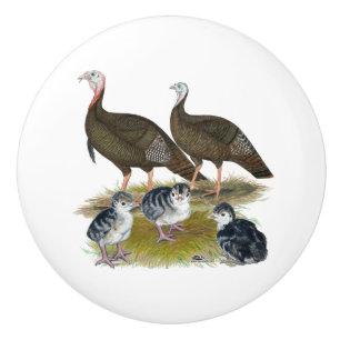 Pomo De Cerámica Familia de pavos salvajes del este