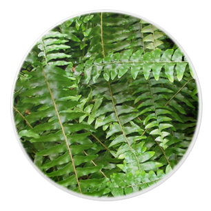 Pomo De Cerámica Fern Fronds I Green Nature