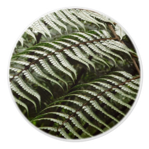 Pomo De Cerámica Fern Fronds II Naturaleza verde oscura