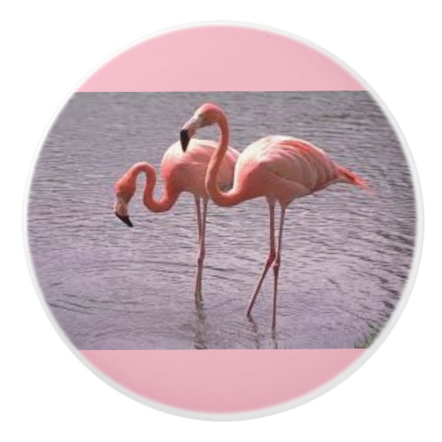 Pomo De Cerámica Flamencos rosados en botones de cerámica y tirones (Anverso)
