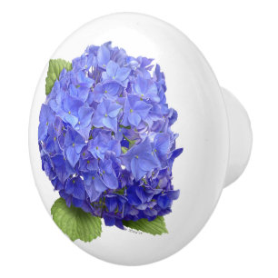 Pomo De Cerámica Flor azul del Hydrangea