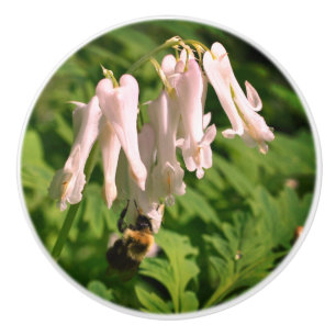 Pomo De Cerámica Flor De Columba Blanca Y Abeja De Burbuja