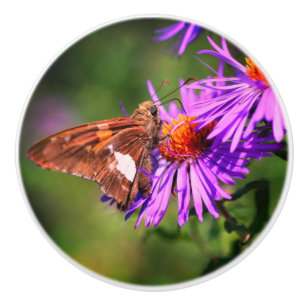 Pomo De Cerámica Flor de gallo salvaje Lady Butterfly