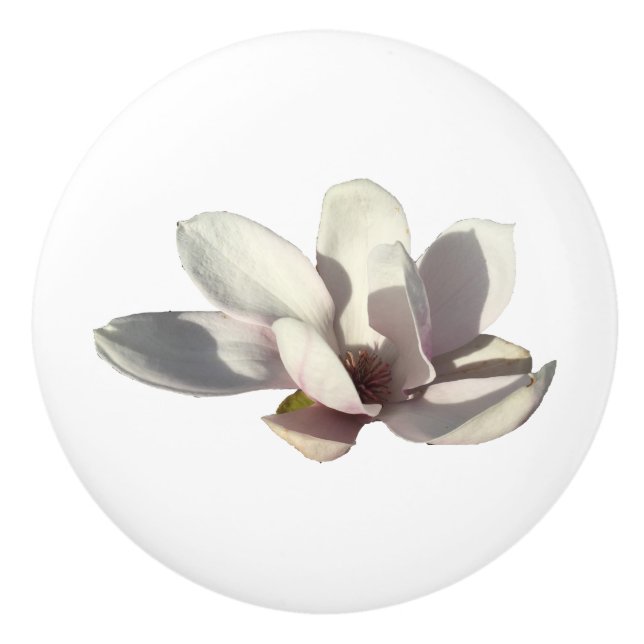 Pomo De Cerámica Flor de la magnolia (Anverso)