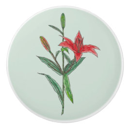 Pomo De Cerámica Flor de lirio naranja roja sobre azul verde