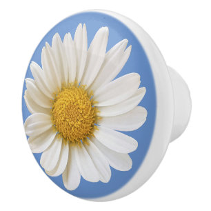 Pomo De Cerámica Flor de margarita blanca sobre fondo azul