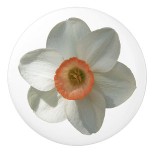 Pomo De Cerámica Flor de primavera rosada de Daffodil