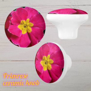 Pomo De Cerámica Flor de prímula rosa brillante y amarilla