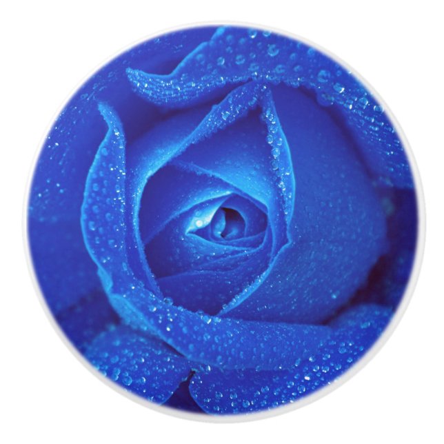 Pomo De Cerámica Flor de rosa rosa azul elegante (Anverso)