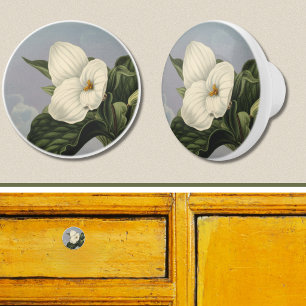Pomo De Cerámica Flor de Trillium Blanca en estilo Temple of Flora