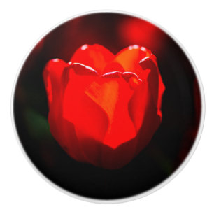 Pomo De Cerámica Flor de tulipán rojo - Fuego