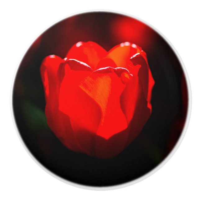 Pomo De Cerámica Flor de tulipán rojo - Fuego (Anverso)