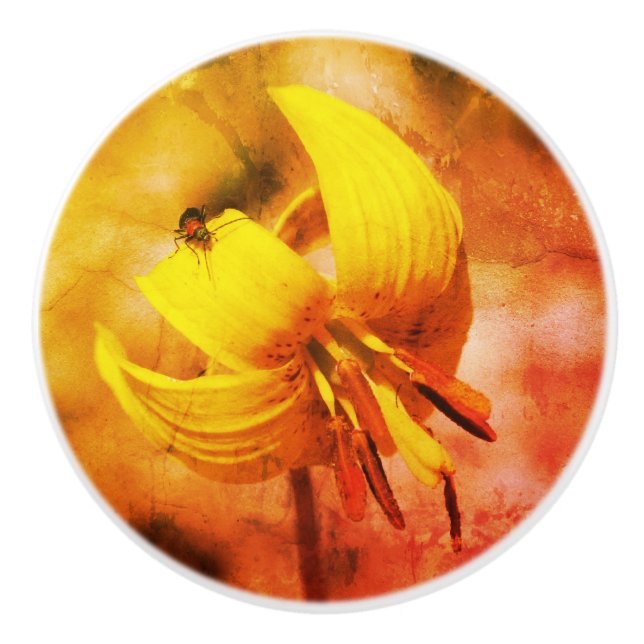 Pomo De Cerámica Flor Lirio De Trucha Silvestre Y Amigo De Insectos (Anverso)