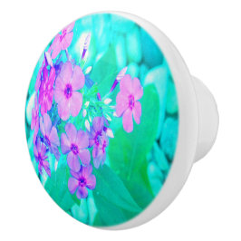 Pomo De Cerámica Flor Phlox de jardín rosado en Aquamarine