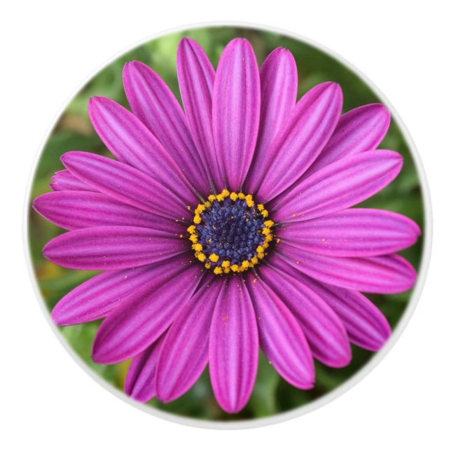 Pomo De Cerámica Flor púrpura perfecta (Anverso)