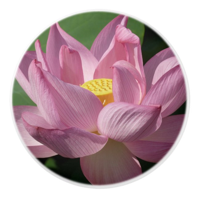Pomo De Cerámica Flor rosa Lotus IV (Anverso)