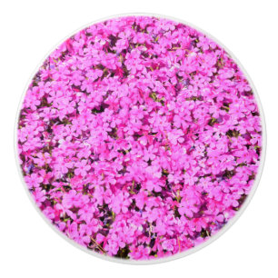 Pomo De Cerámica Flor rosa vibrante