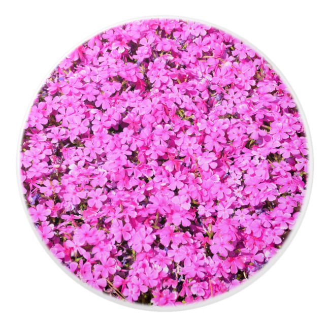 Pomo De Cerámica Flor rosa vibrante (Anverso)
