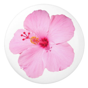Pomo De Cerámica Flor tropical Hibiscus rosa
