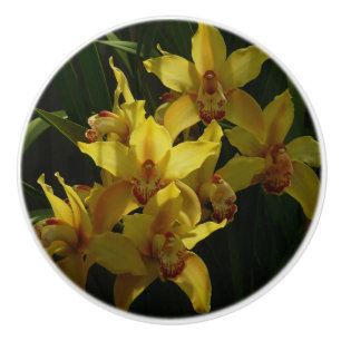 Pomo De Cerámica Floral de orquídeas amarillas soleadas