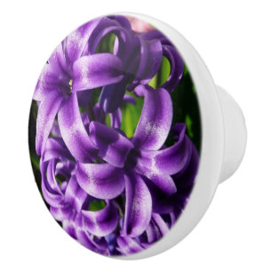 Pomo De Cerámica Floral de primavera azul Hyacinin II