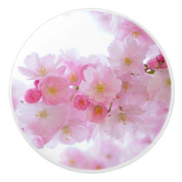 Pomo De Cerámica Florecimiento del Árbol de cerezo japonés