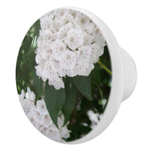 Pomo De Cerámica Flores bonitas de laurel de montaña blanco